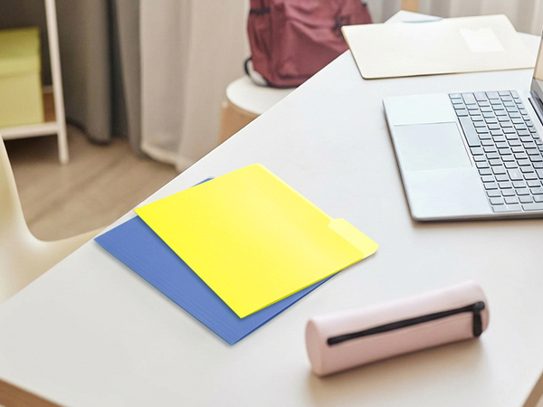Colored file folder