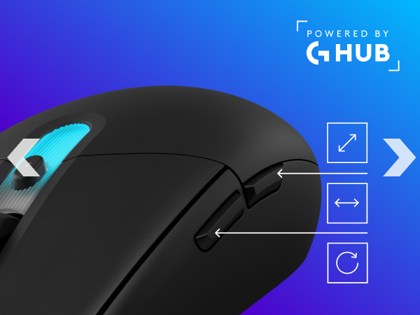 a black mouse
