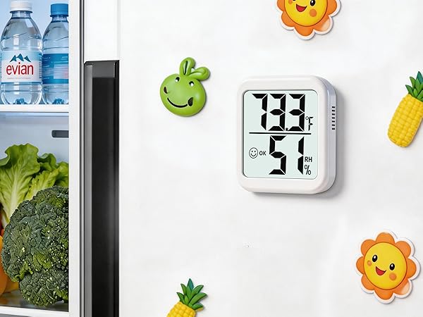 thermometer and humidity gauge