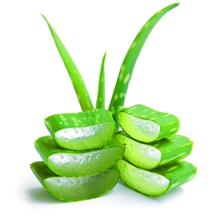 Aloe Ingredients