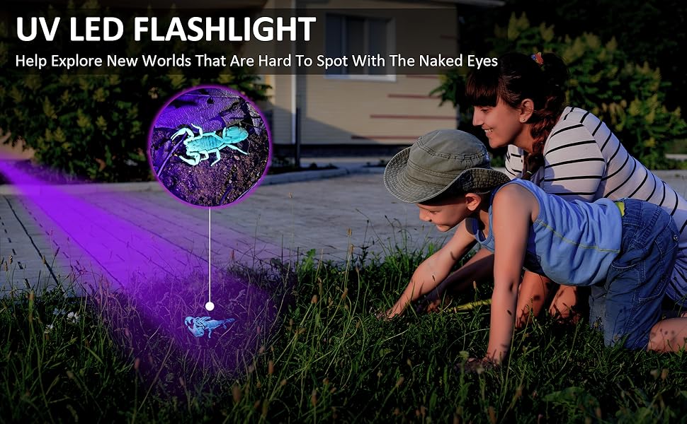 LED Handheld Blacklight