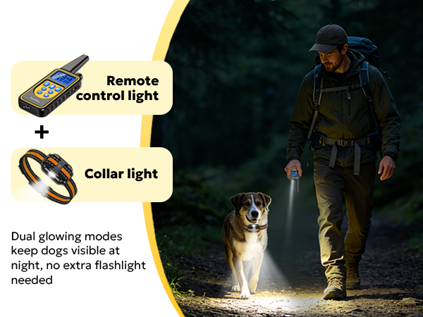 Heaflex shock collar for dog