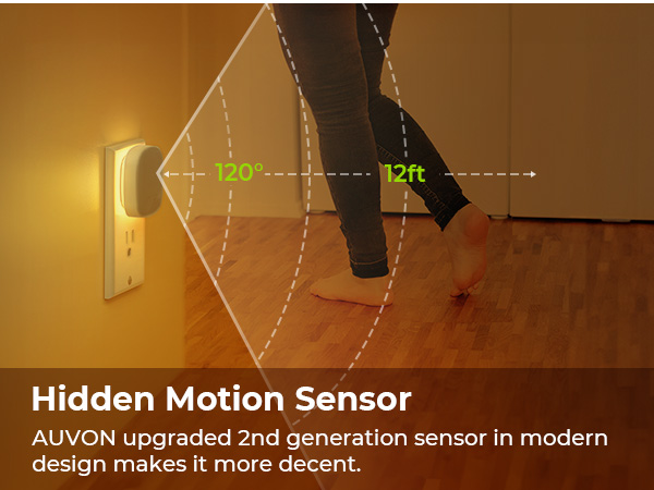 Hidden Motion Sensor