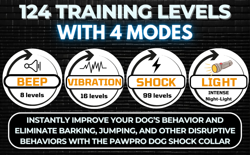 dog training collar