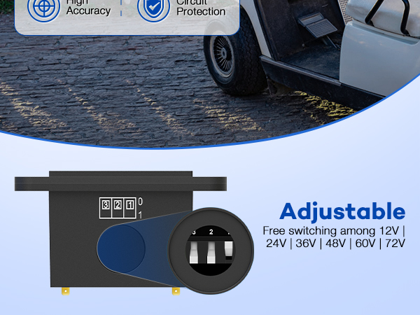 battery monitor 24v