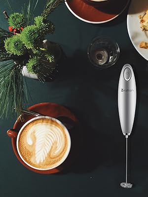 frother handheld