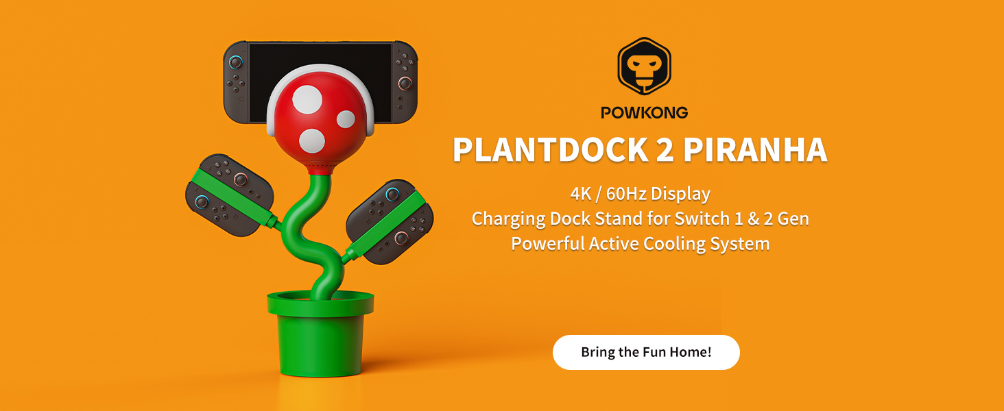 switch 2 dock