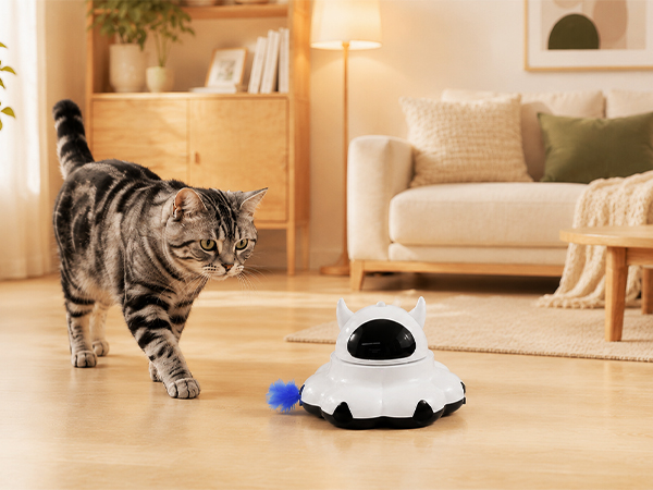 electric cat toy