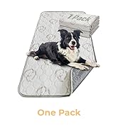 1 Pack