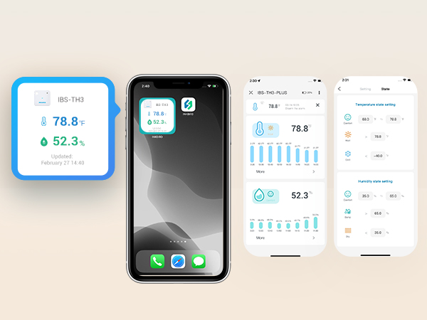 Widget display