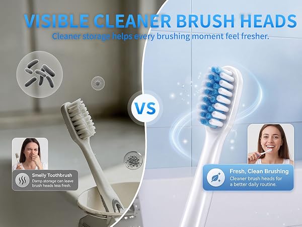 Toothbrush holder