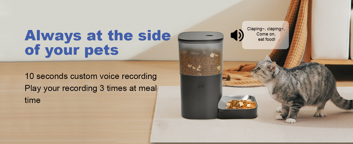 automatic cat feeder with voice call