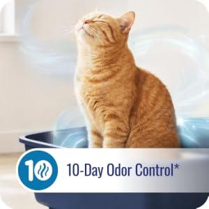 10-Day Odor Control*
