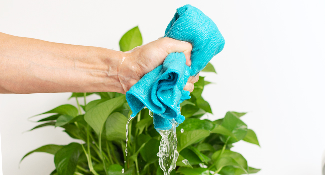 Highly Absorbent