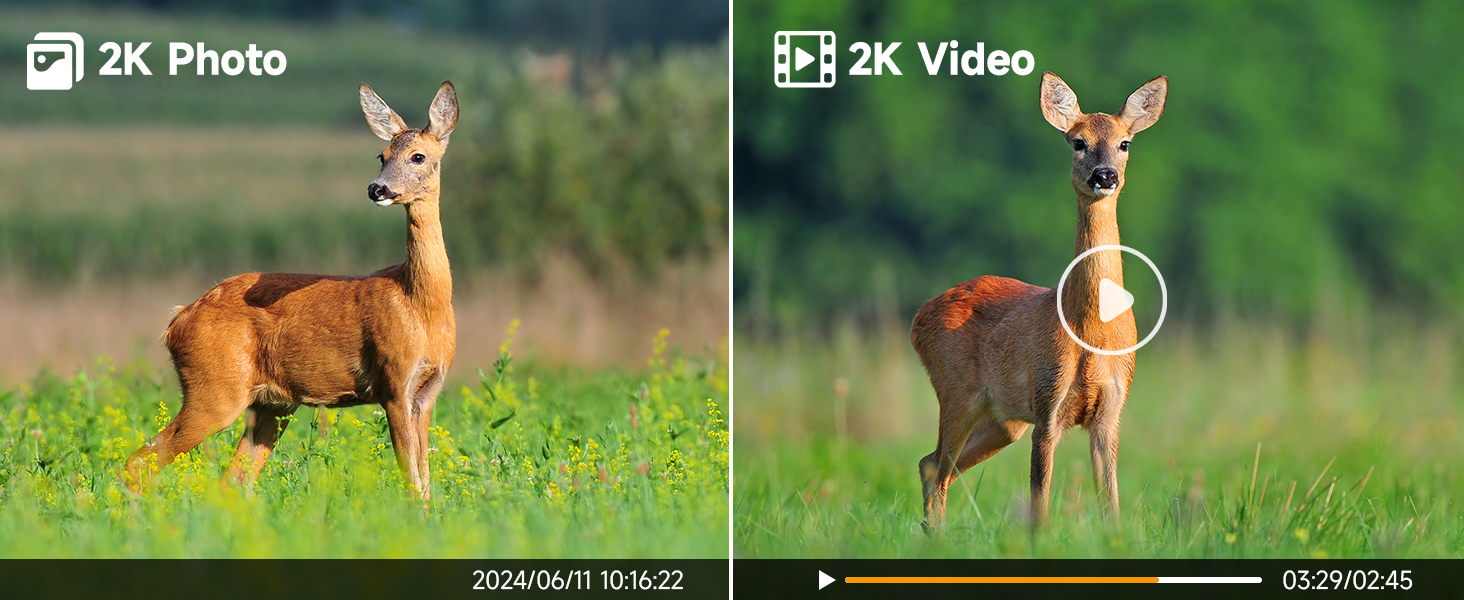 2K HD