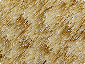 soft bristle of natural horsehair brush