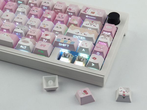 PBT