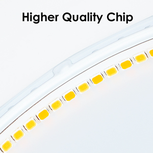 High Quality Chip