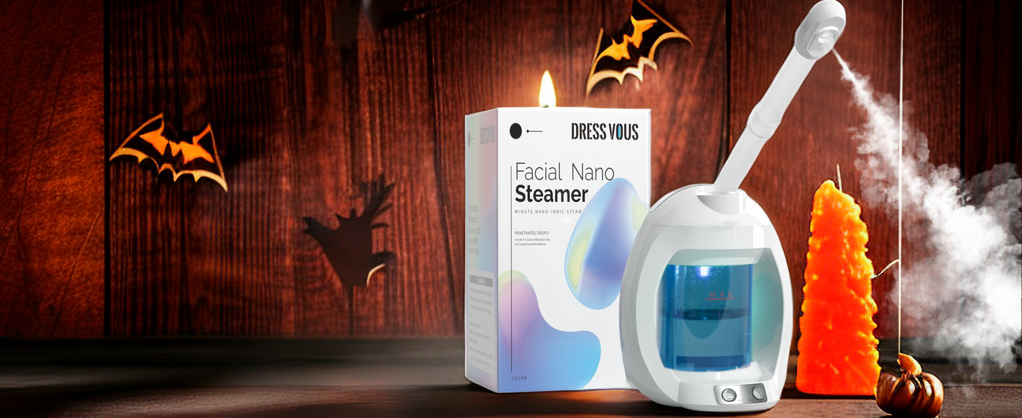 face steamer