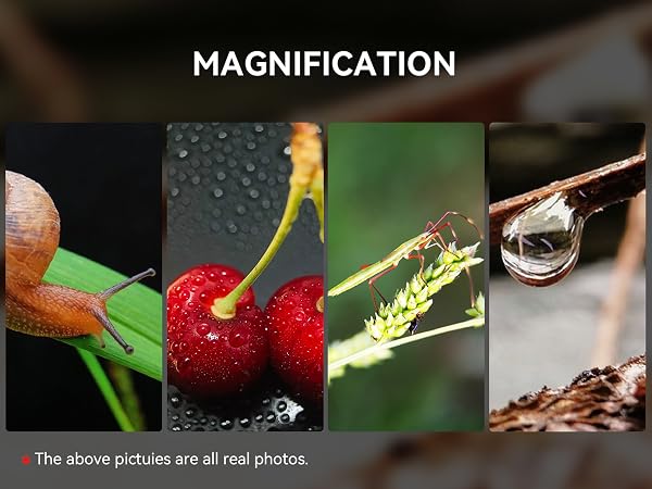Text reads 'MAGNIFICATION'. Macro photography sequence showing extreme close-up details of small objects and nature elements against dark background.
