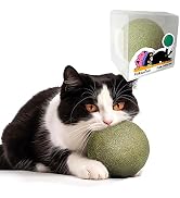 Fokauiwo 3.94 Inches Huge Catnip Ball for Indoor Cats -Giant Cat Toys for Kittens -Jumbo Cat Nip ...