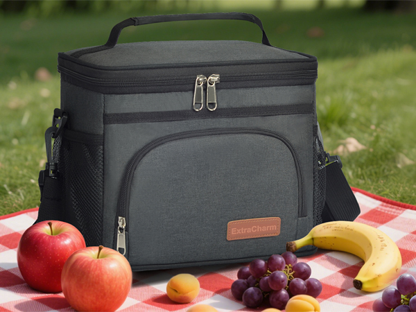 ExtraCharm Insulated Lunch Bag for Women/Men