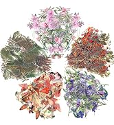 200 Pcs Floral Scrapbooking Vintage Stickers, Self-Adhesive Flowers Stickers for Journaling Card ...