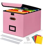 DECOSIS File Organizer Box with 5 Hanging Folders & Plastic Slide, Collapsible Linen File Box wit...