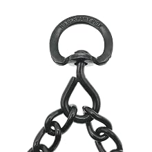 Swivel D-Ring