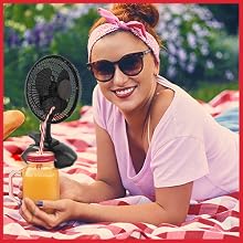 Portable Desk and Clip on Fan