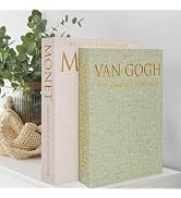 Hiwhy Decorative Book Storage Box Set of 2, Stylish Decorative Books, Linen Faux Book Storage Box...