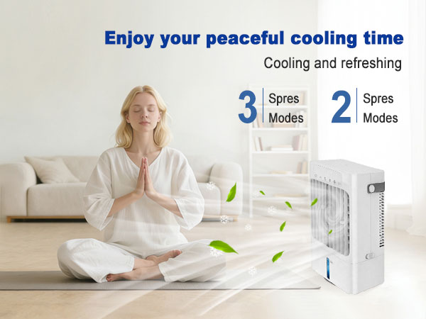 Portable Air Conditioner