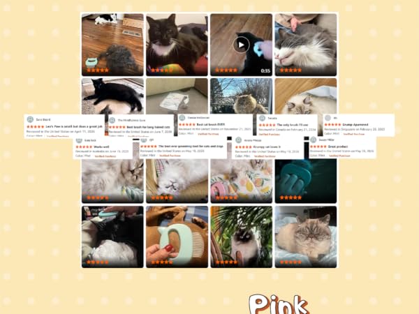 cat owners are obsessed!