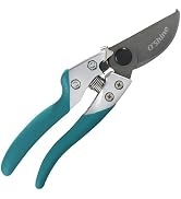 O'Shine 8" Professional Bypass Pruning Shears, Sharp Japanese SK5 Steel Blades, 1" Cut Capacity H...