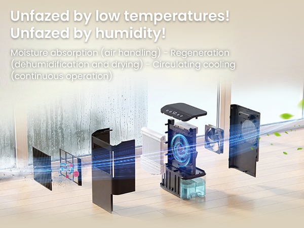 air purifier and dehumidifier combo