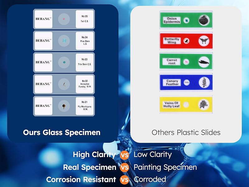 MICROSCOPE SLIDES