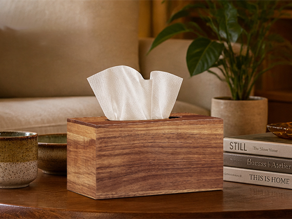 Tissue and Remote Control Holder, Decorative Facial Tissue Cube Box Organizer