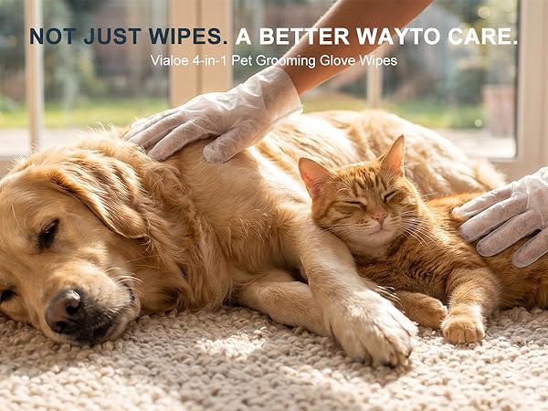 raised dot pet cleaning glove