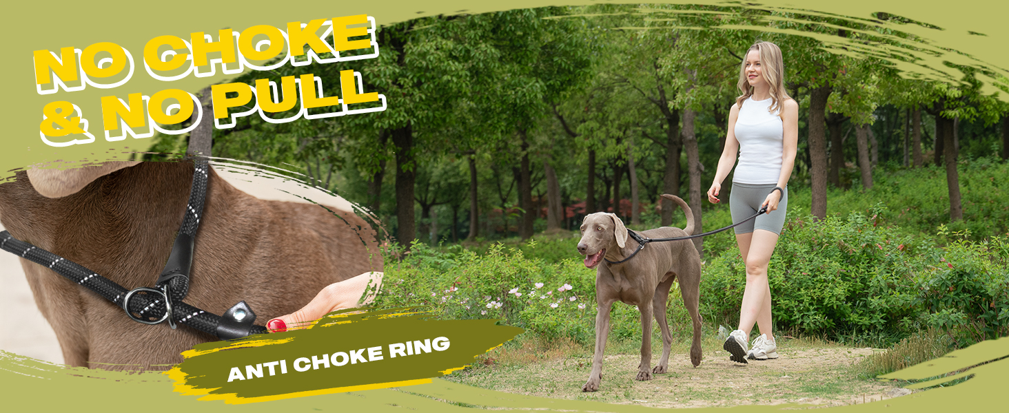 Slip Lead Dog Leash
