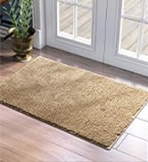 HOMEIDEAS Door Mats Indoor, 20