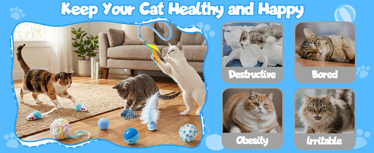Keep your cat healthy and happy