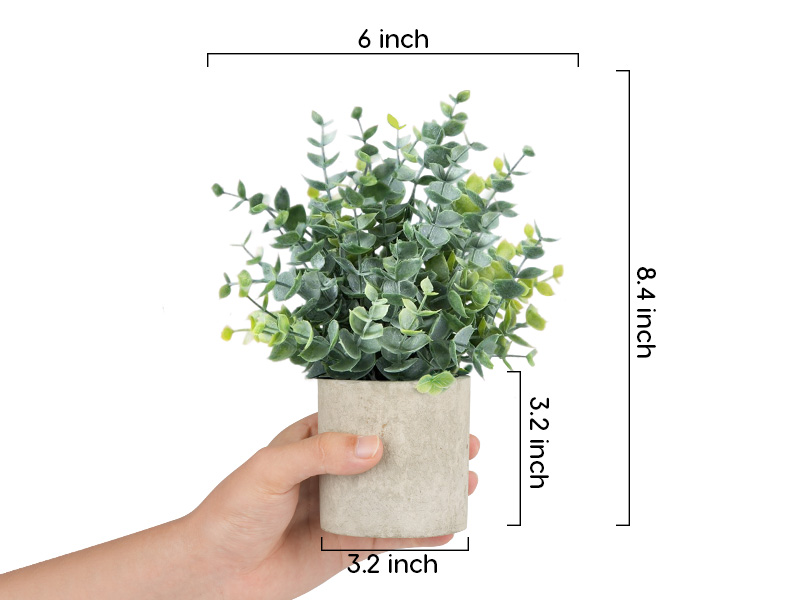 small plants