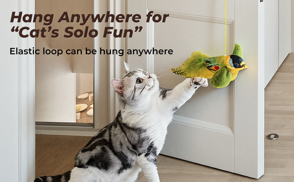 2-pack catnip cat toys that stimulate indoor cats