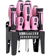 FASTPRO 21-Piece Magnetic Screwdrivers Set with Organizer Rack, Slotted Phillips Screwdrivers and...
