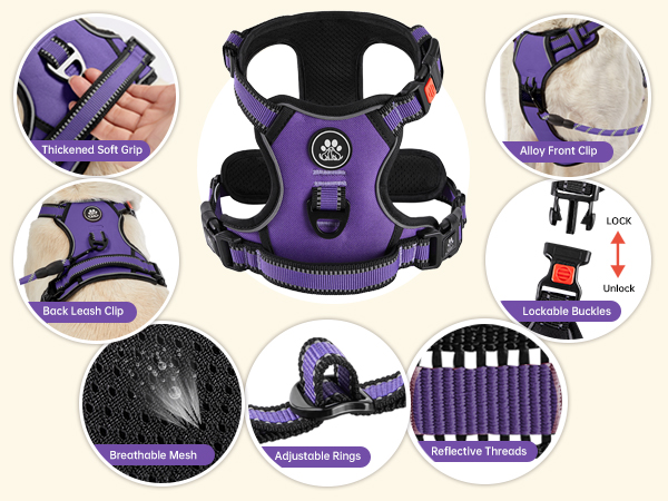 dog harness