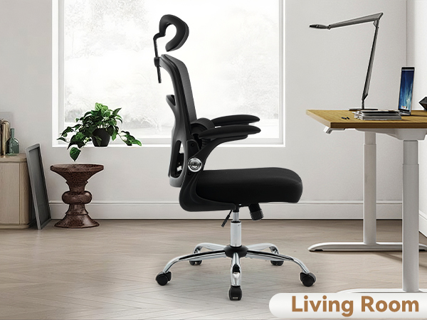 Office Chair Ergonomic Desk Chair