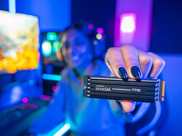 T710 NVMe Internal SSD With & Without Heatsink