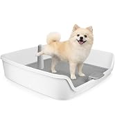 ALL FOR PAWS Dog Potty Tray, 24.8"x24.8"Indoor Pet Pee Pad Holder with Pee Post, Puppy Potty Trai...
