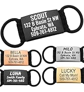 GoTags Silent Personalized Engraved Pet ID Dog and Cat Tags, Jingle Free Quiet Custom Name Tags (...