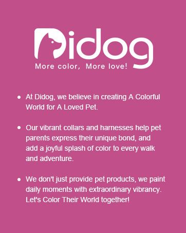 Didog dog collar